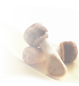 ingredient_bg_lead