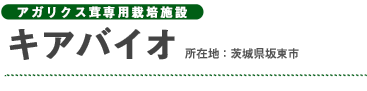 アガリクス茸専用栽培施設 キアバイオ 所在地:茨城県坂東市