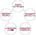 pict_lineup_liquamenplus_02