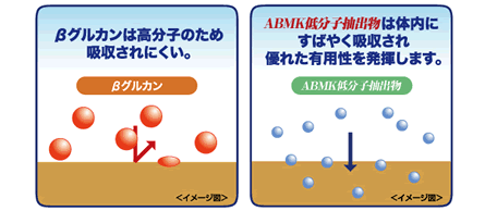 吸収されやすい低分子成分